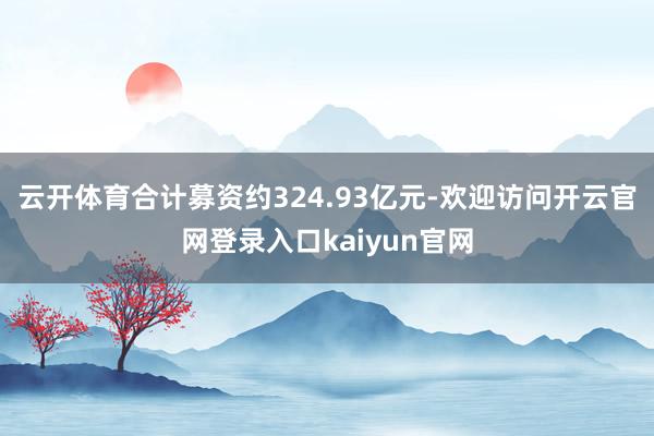 云开体育合计募资约324.93亿元-欢迎访问开云官网登录入口kaiyun官网