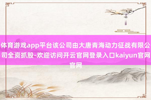 体育游戏app平台该公司由大唐青海动力征战有限公司全资抓股-欢迎访问开云官网登录入口kaiyun官网