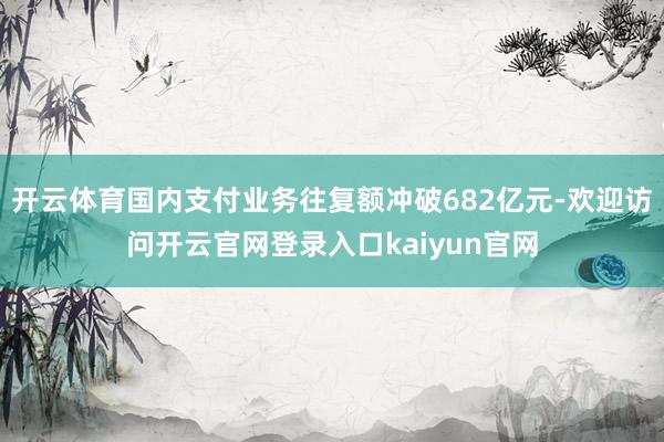 开云体育国内支付业务往复额冲破682亿元-欢迎访问开云官网登录入口kaiyun官网